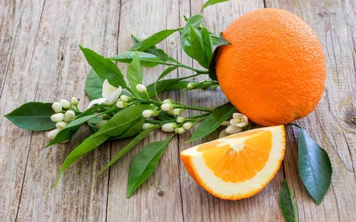 فروش میوه نارنجی